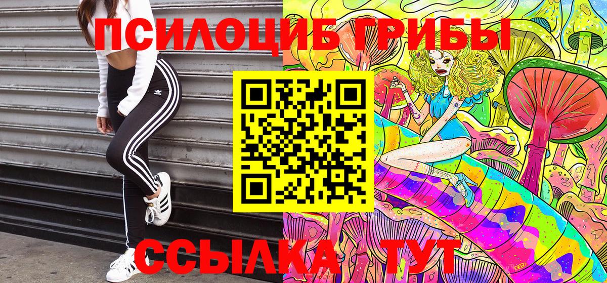 Галлюциногенные грибы GOLDEN TEACHER  Вход с VPN  Десногорск 