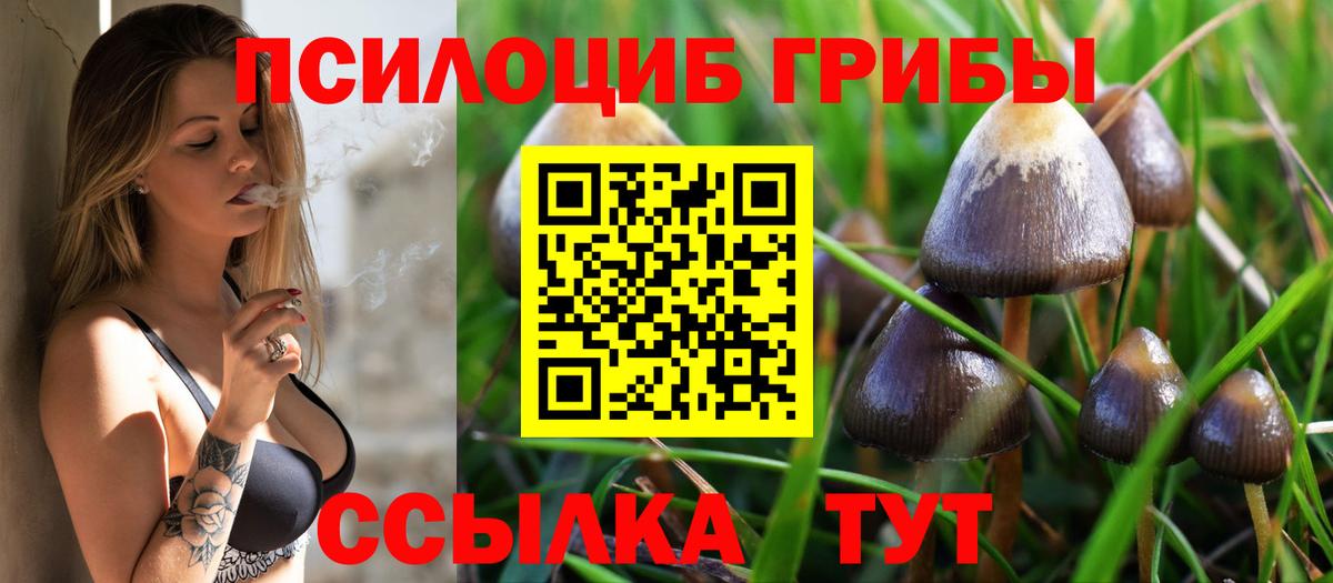 Псилоцибиновые грибы мухоморы Десногорск